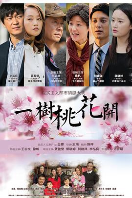 一树桃花开王志文版第04集