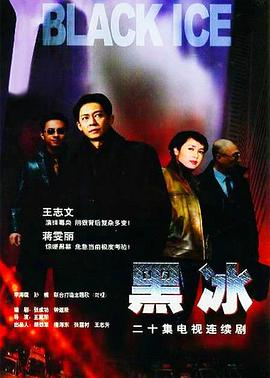 黑冰王志文版第15集