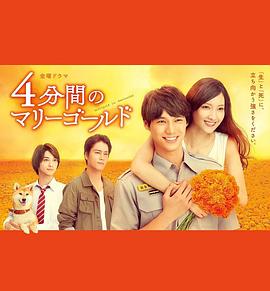 四分钟的金盏菊第10集(大结局)