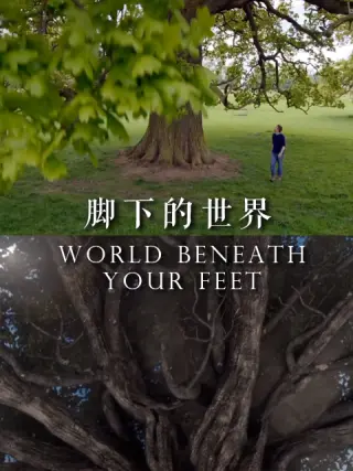 脚下的世界第02集(大结局)