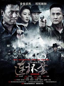 连环套第31集