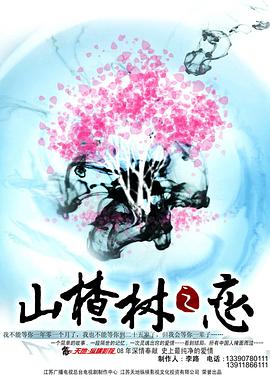 山楂树之恋2011第04集
