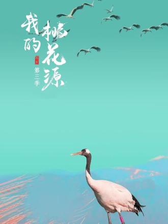 我的桃花源第三季第9期