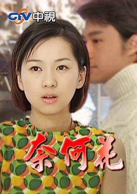 奈何花第21集