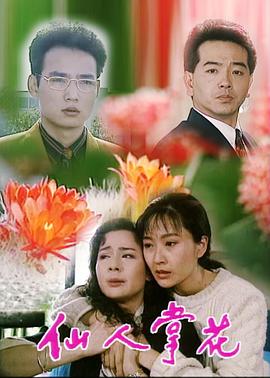 仙人掌花第13集