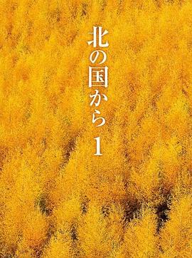 北国之恋第20集