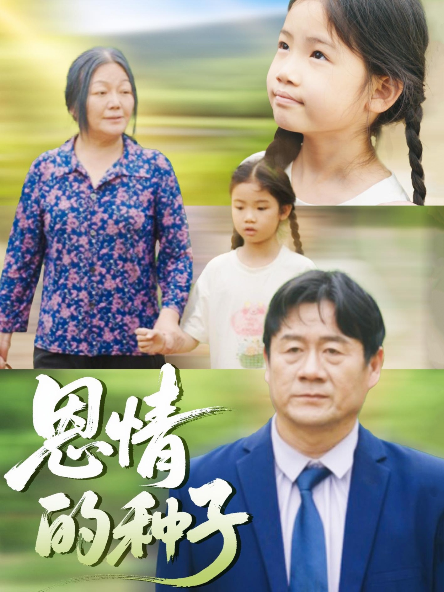 恩情的种子第13集