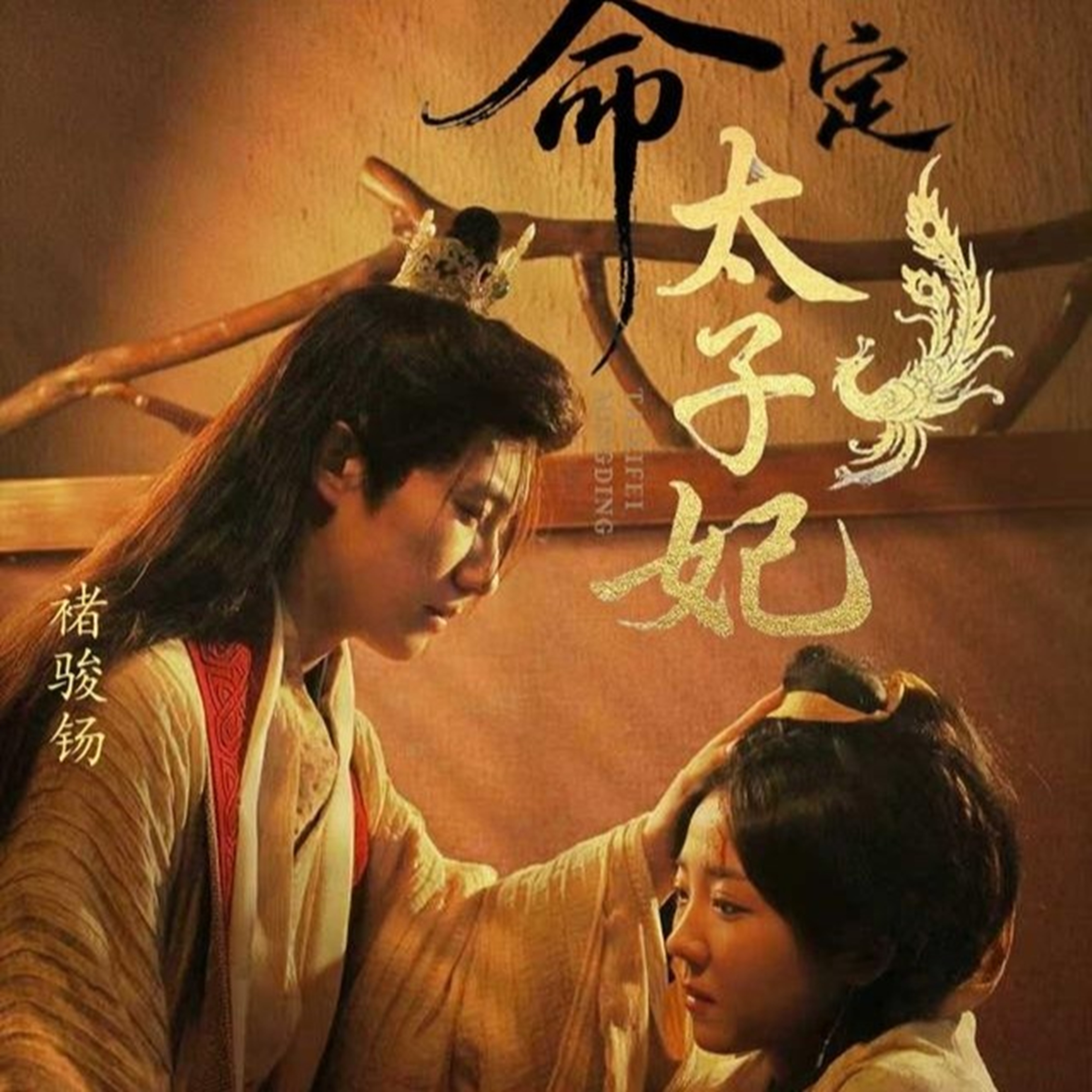 命定太子妃第01集
