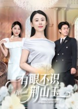 有眼不识荆山玉第24集