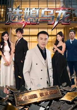 选媳乌龙第51集