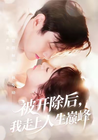 被开除后，我走上人生巅峰第14集