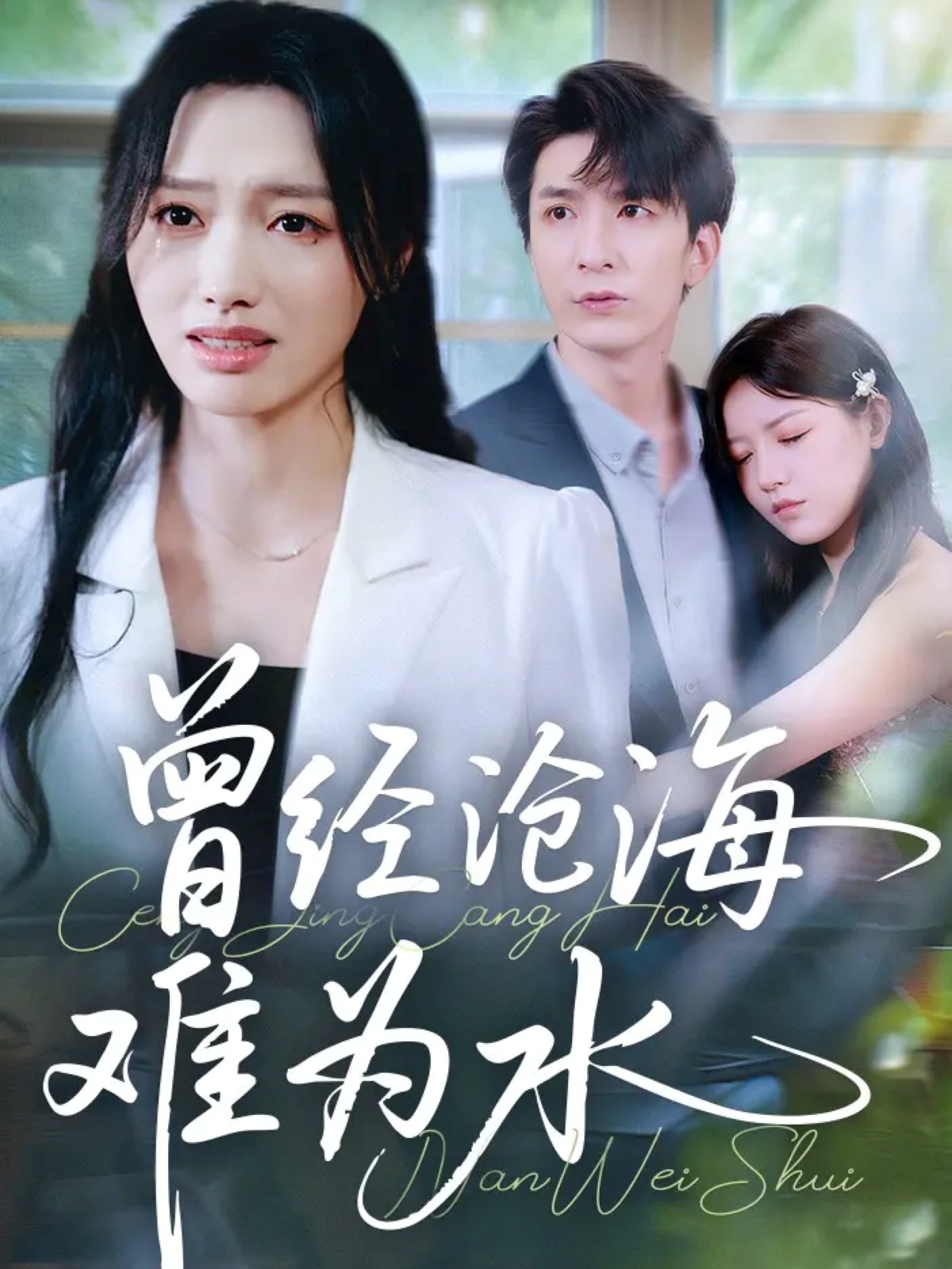 曾经沧海难为水第41集