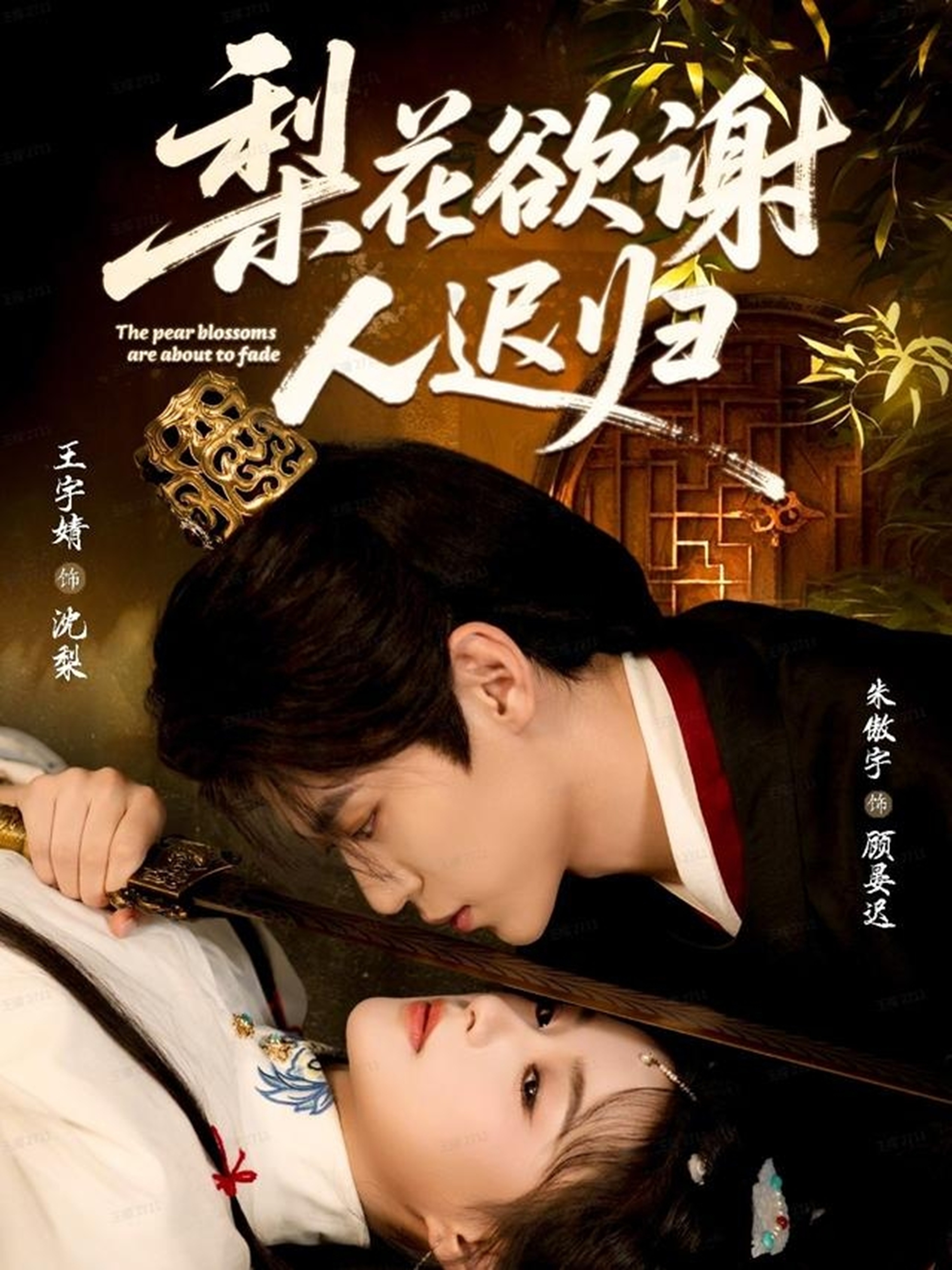 梨花欲谢人迟归第47集