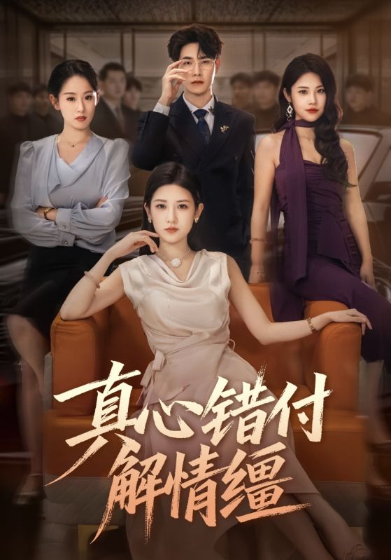 真心错付解情缰第02集