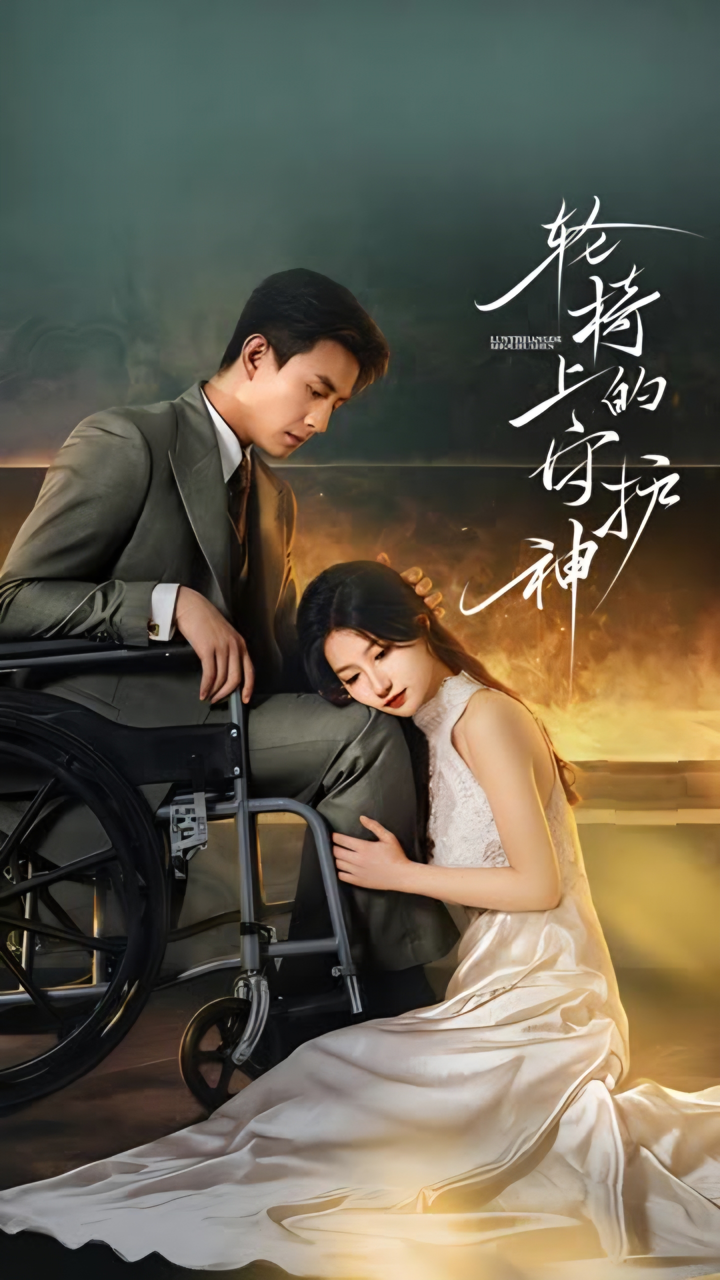 轮椅上的守护神第14集