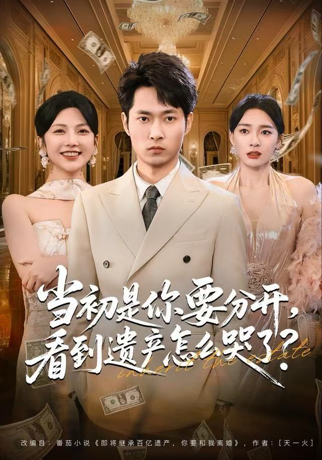 当初是你要分开，看到遗产怎么哭了？第04集