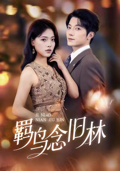 羁鸟念旧林第15集