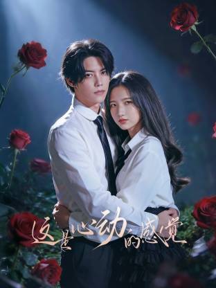 这是心动的感觉第16集