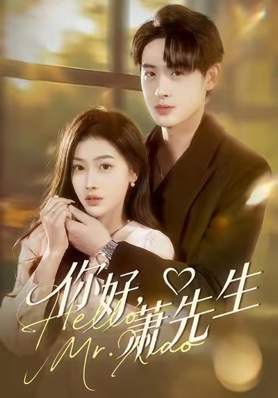 你好，萧先生第48集