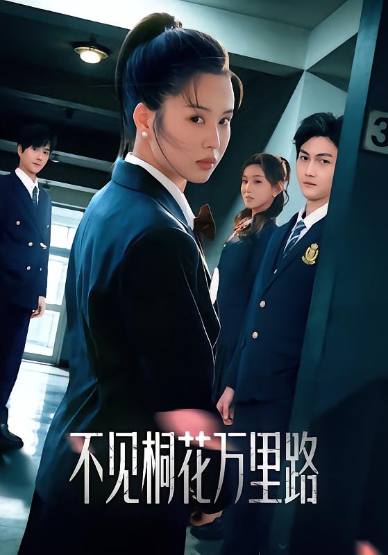 不见桐花万里路第39集