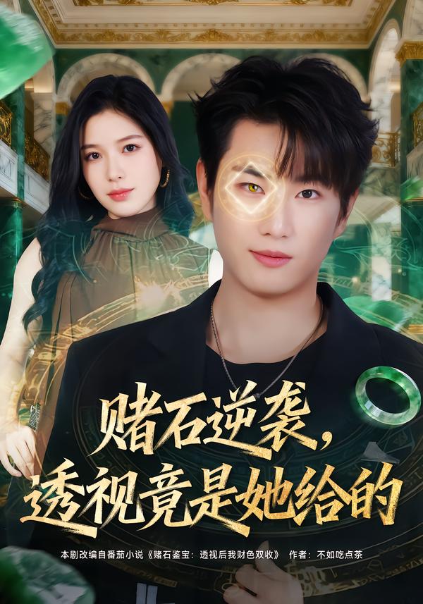 赌石逆袭，透视竟是她给的第44集