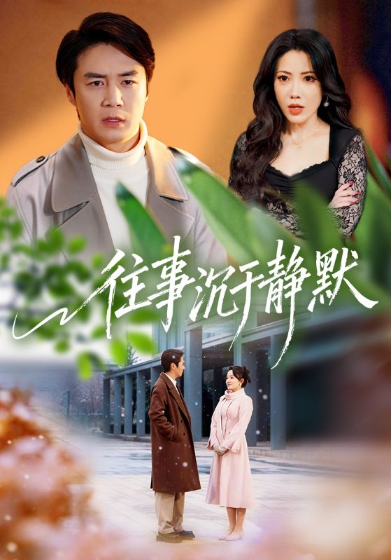 往事沉于静默第33集