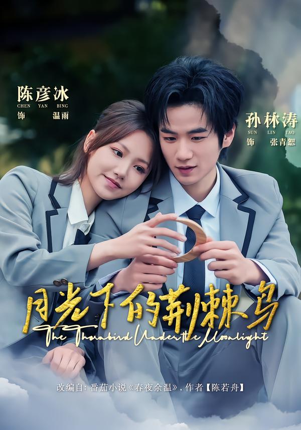 月光下的荆棘鸟第51集