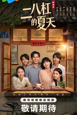 二八杠的夏天第28集