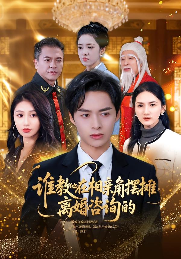 谁教他在相亲角摆摊离婚咨询的第03集