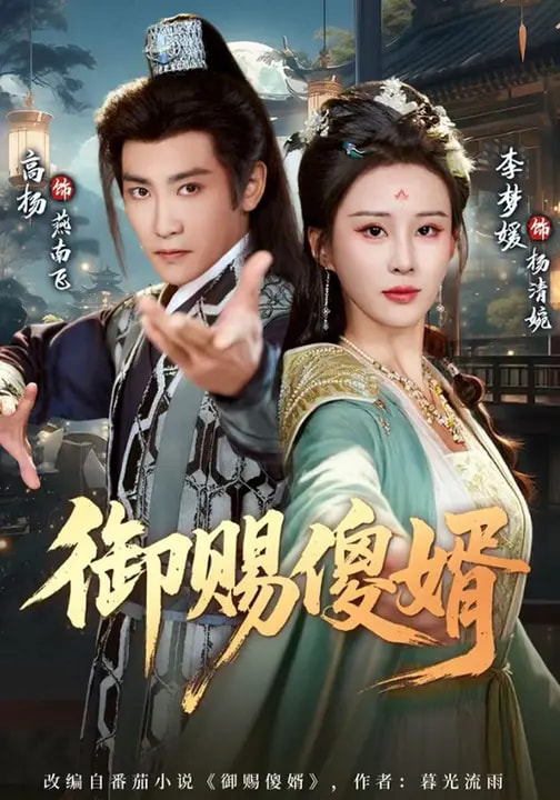 御赐傻婿第39集