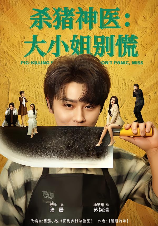 杀猪神医，大小姐别慌第39集