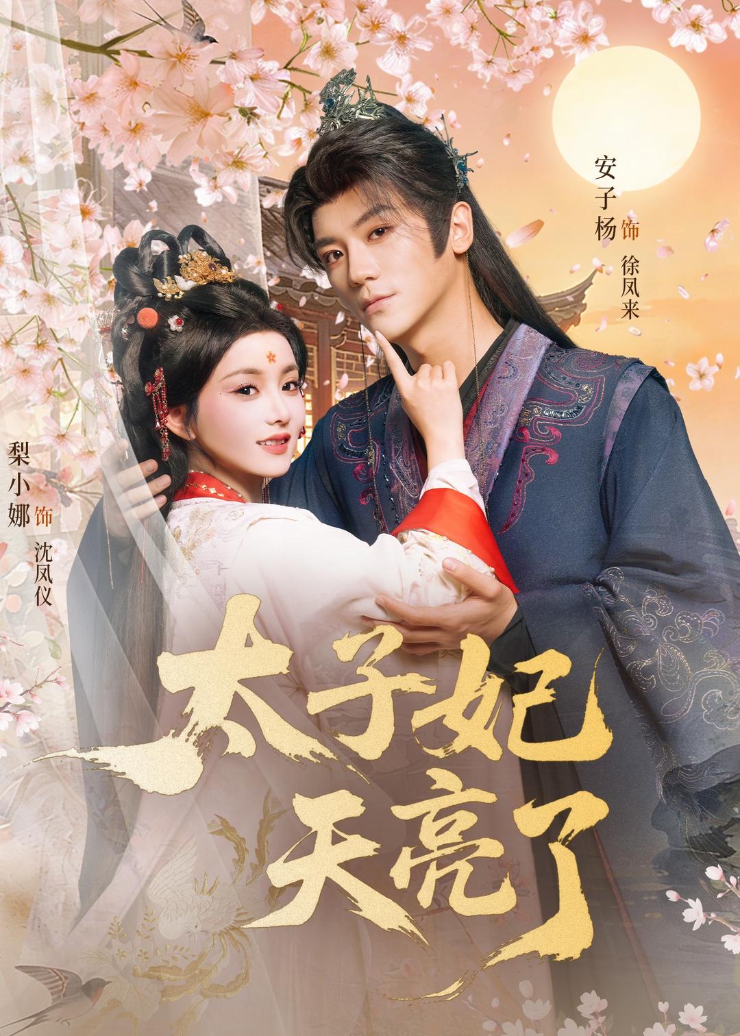太子妃天亮了第39集