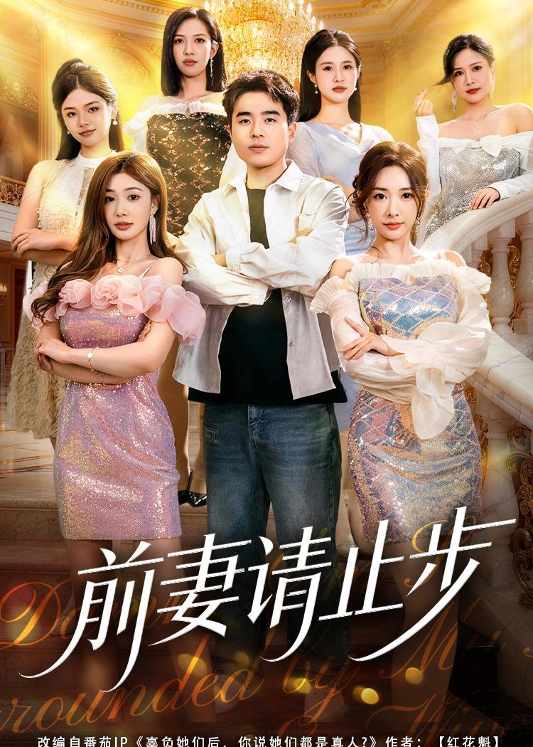 前妻请止步第41集