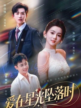 爱在星光坠落时第16集