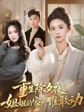 重生除夕夜，姐姐的家产谁敢动第51集