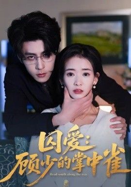 囚爱：顾少的掌中雀第39集