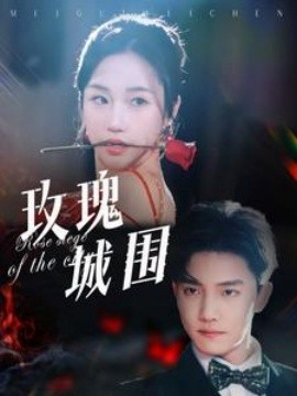 玫瑰城围第40集
