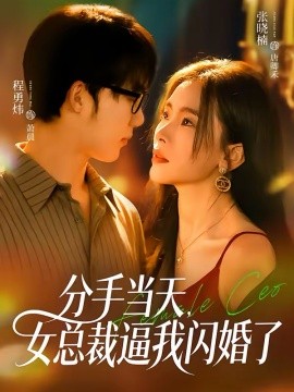 分手当天，女总裁逼我闪婚了第28集