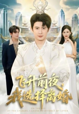 飞升前夜，我选择离婚第11集