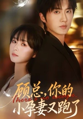 顾总，你的小孕妻又跑了第04集