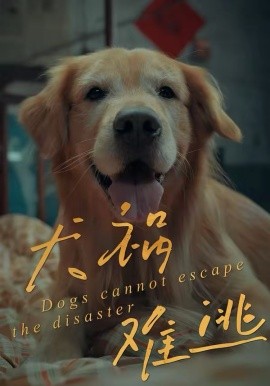 犬祸难逃第05集