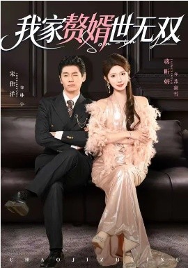我家赘婿世无双第08集