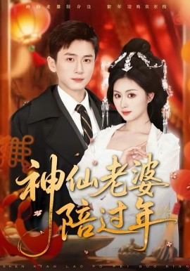 神仙老婆陪过年第63集