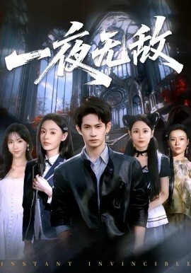 一夜无敌第21集