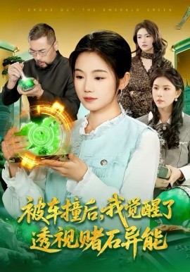 被车撞后，我觉醒了透视赌石异能了第79集