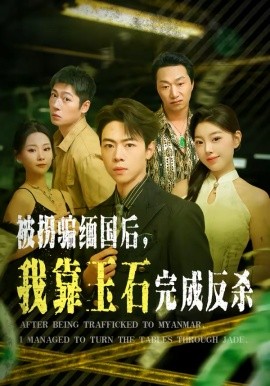 被拐骗缅国后，我靠玉石完成反杀第37集
