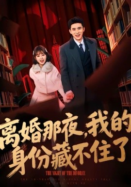离婚那夜，我的身份藏不住了第01集