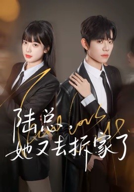 陆总，她又去拆家了第79集