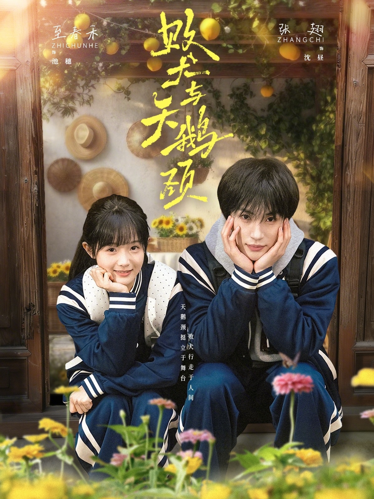 败犬与天鹅颈第01集(大结局)