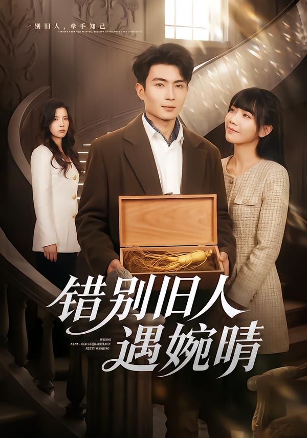 错别旧人遇婉晴(全集)